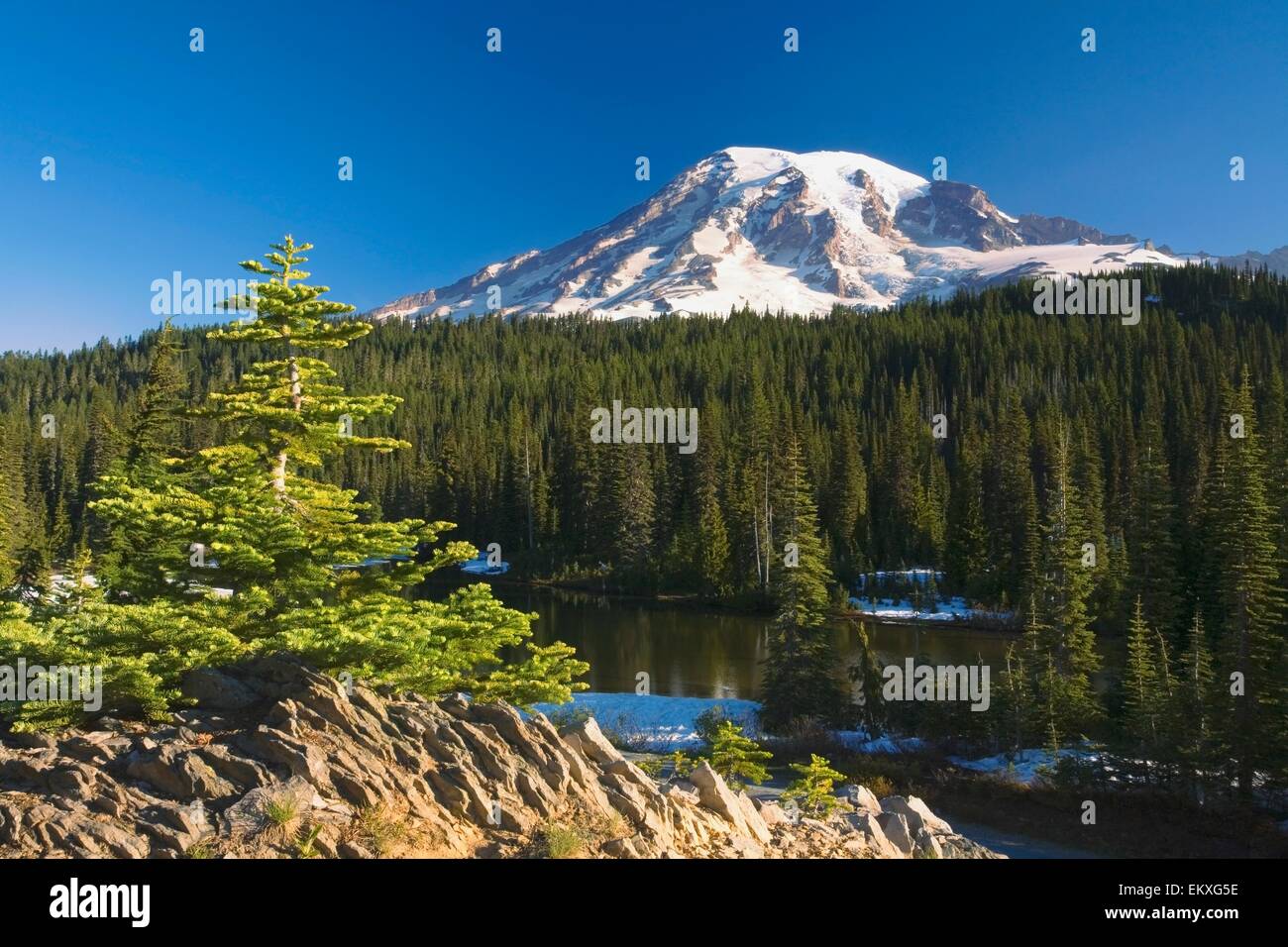 Bush covered mountain ranges hi-res stock photography and images - Alamy