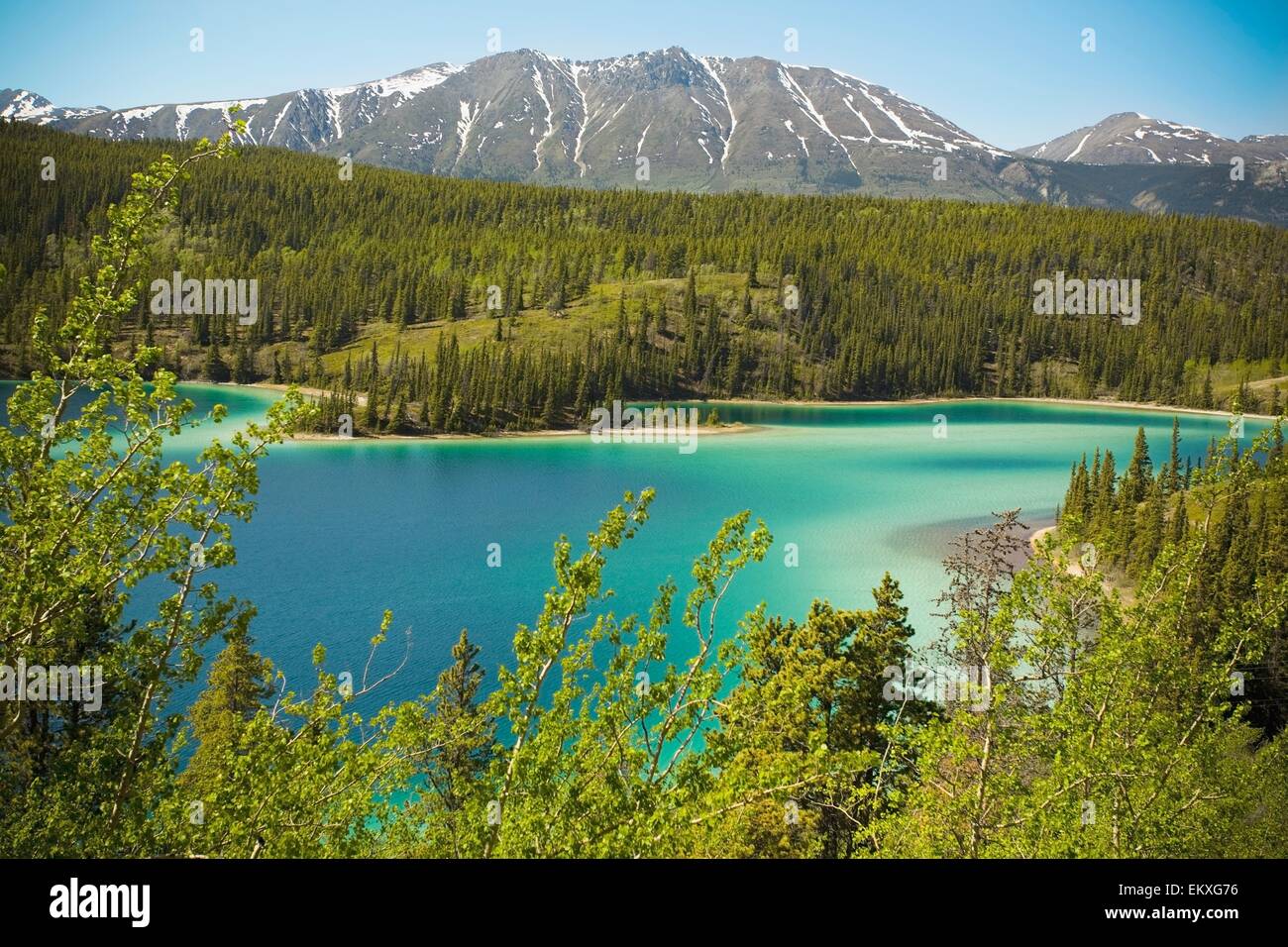 Emerald Lake, Yukon Territory, Canada Stock Photo Alamy