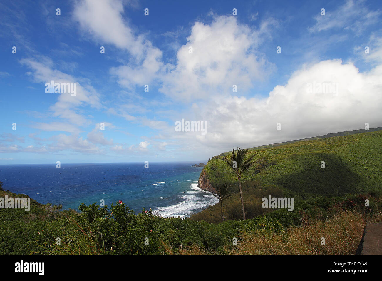 Beautiful views from the Pololu Valley Lookout on the North shore of the big island of Hawaii Stock Photo