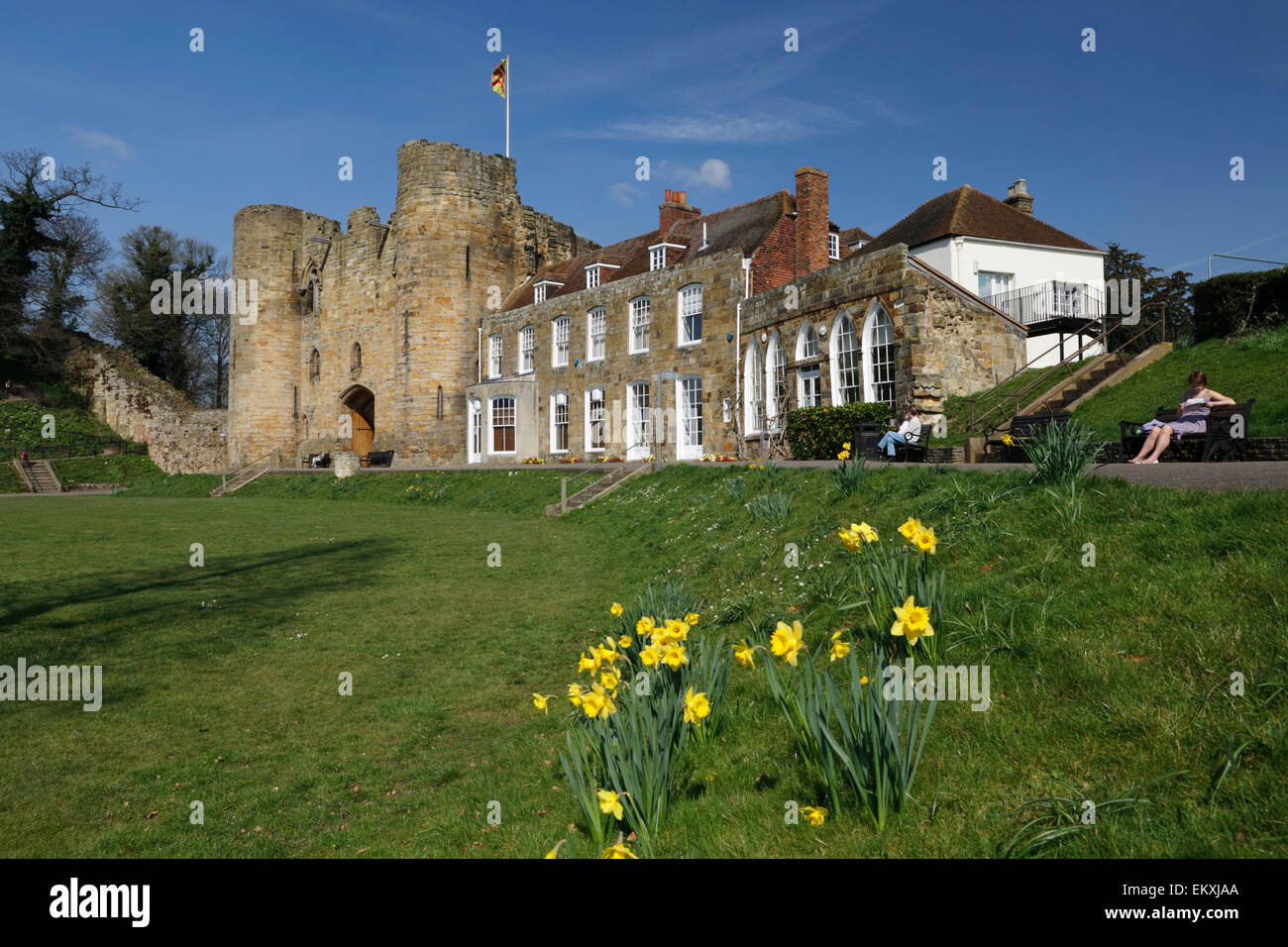 Tonbridge Castle with Daffodils, Tonbridge, Kent, England, United ...