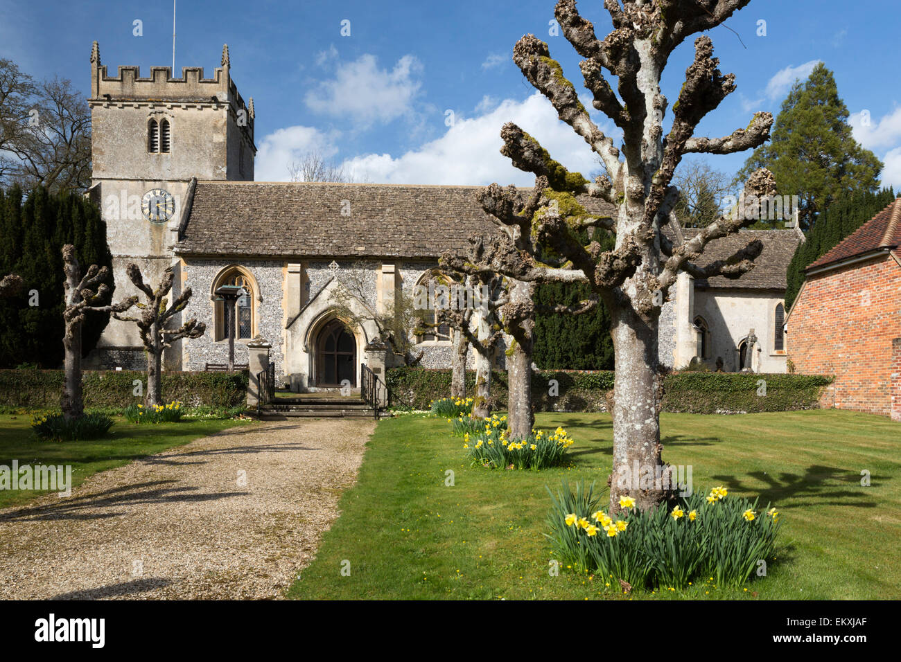 Saint Mary's church with spring Daffodils, Chilton Foliat, Wiltshire, England, United Kingdom, Europe Stock Photo