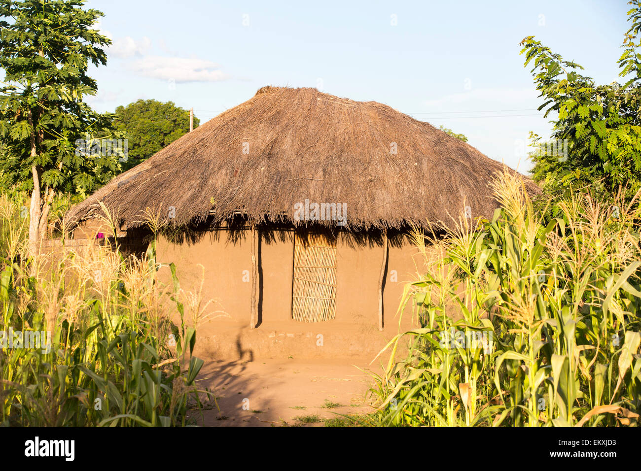 Malawi is one of the poorest countries in the world, many people still live in traditional mud hut houses with grass thatched ro Stock Photo