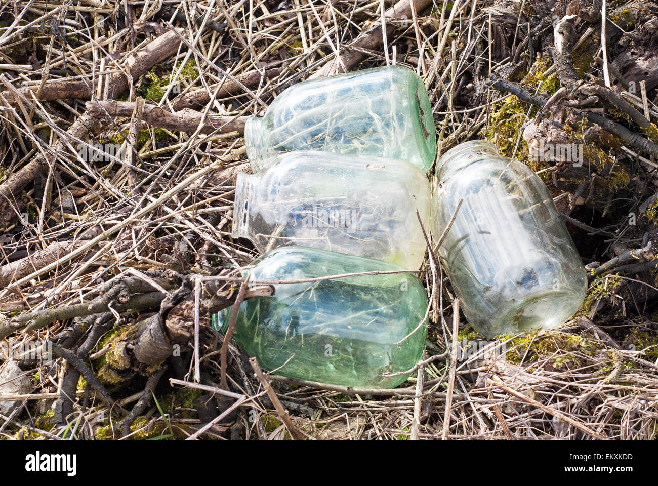 Empty glass jars near the forest Stock Photo Alamy