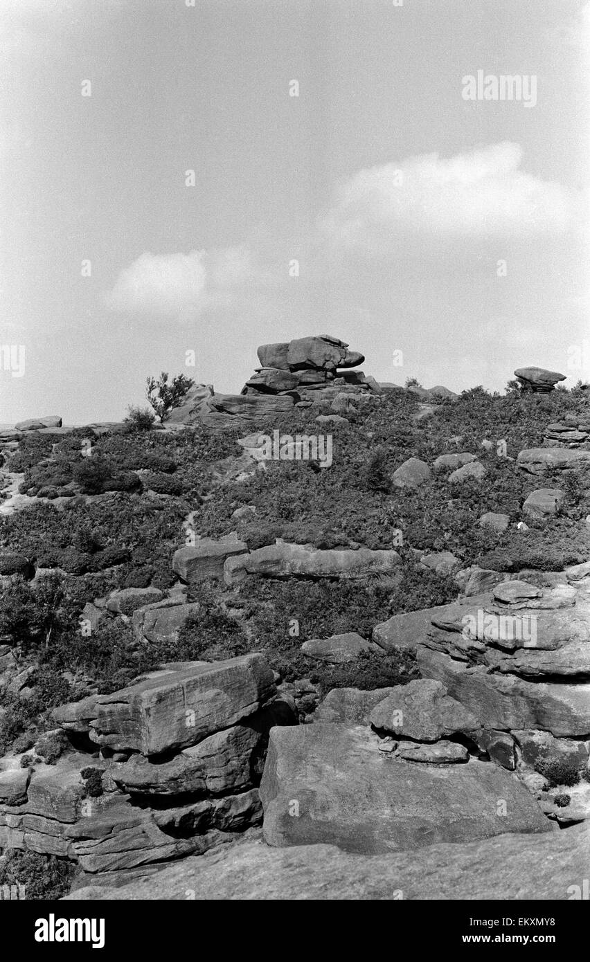 Brimham Rocks above Nipperdale, North Yorkshire. Stock Photo