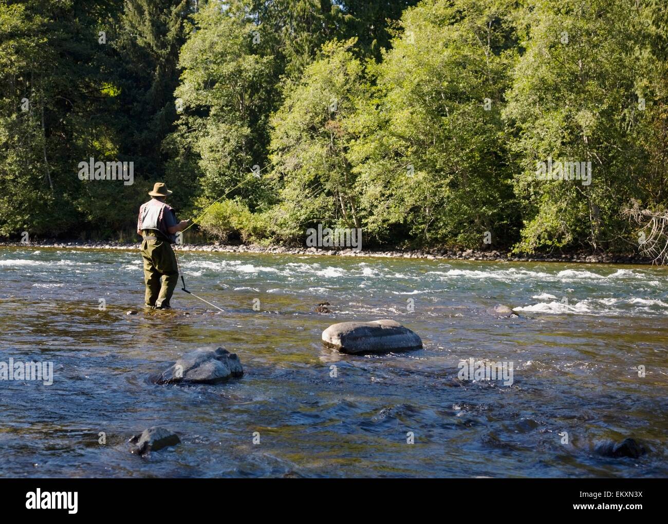 Mid adult man fishing in river hi-res stock photography and images