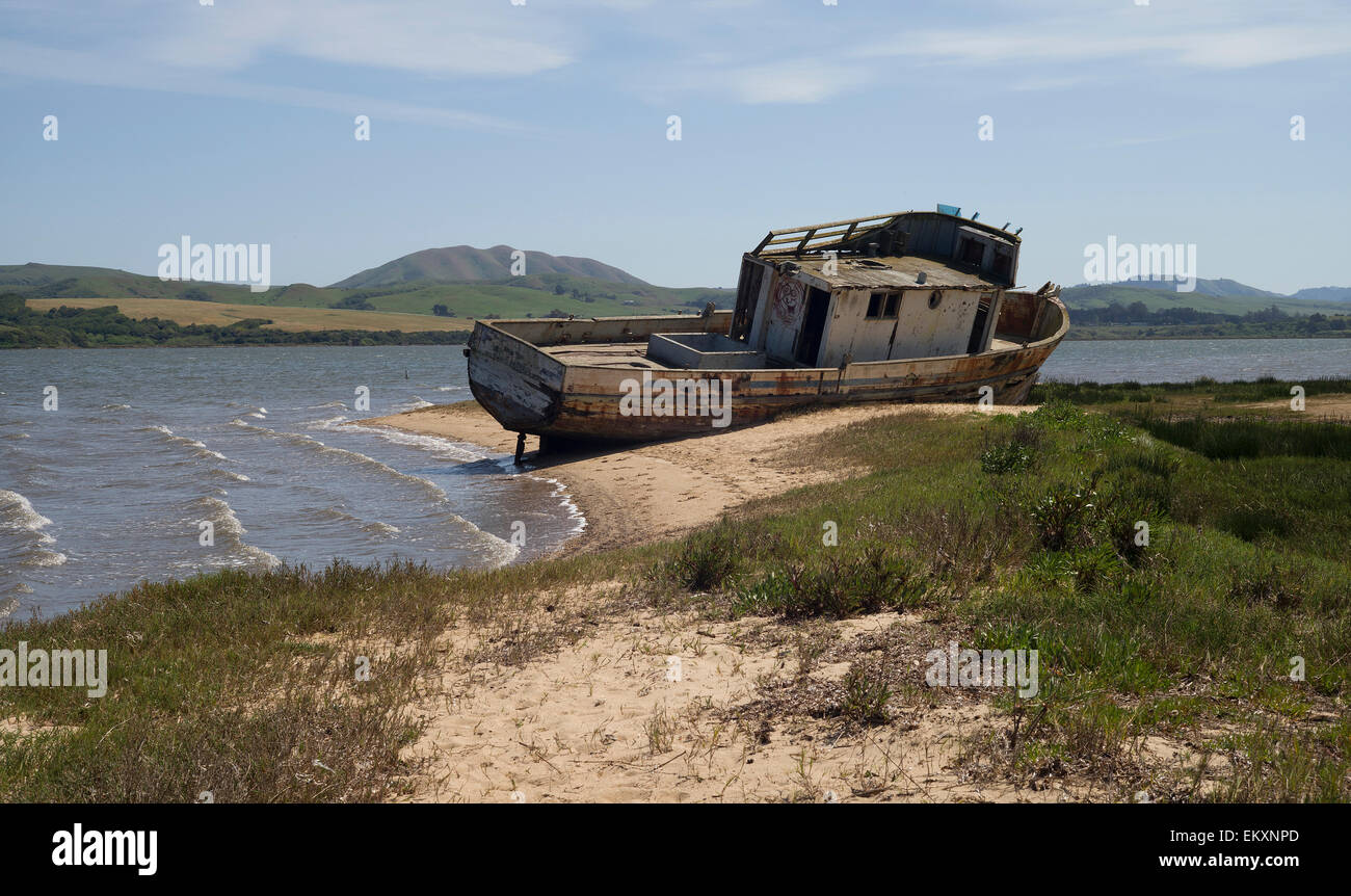 The ship / boat Point Reyes lays aground on a sandbar in Tomales Bay, in Inverness, California. Stock Photo