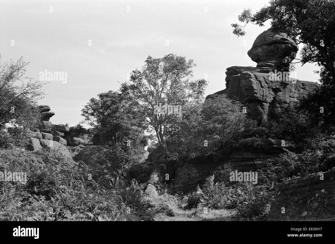 Brimham Rocks above Nipperdale, North Yorkshire. Stock Photo