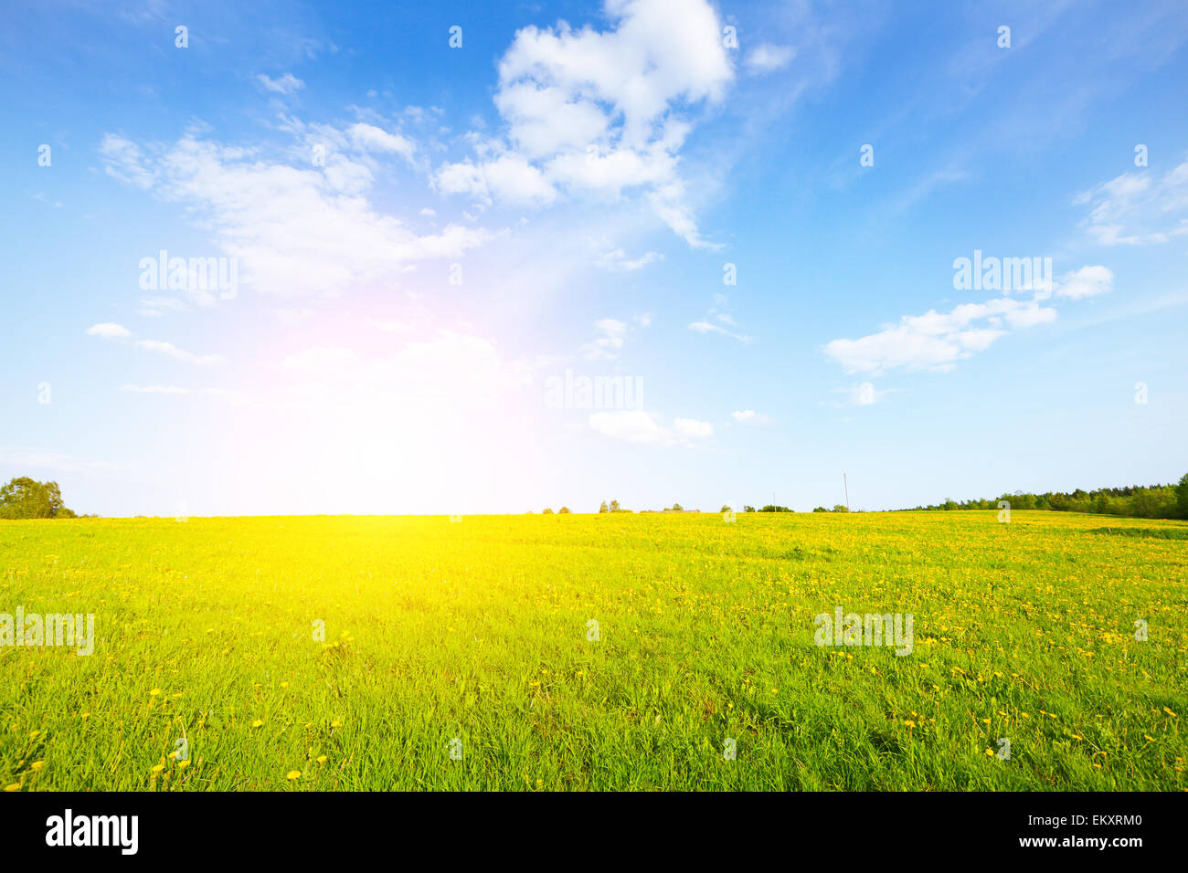 green field and beautiful sunset Stock Photo