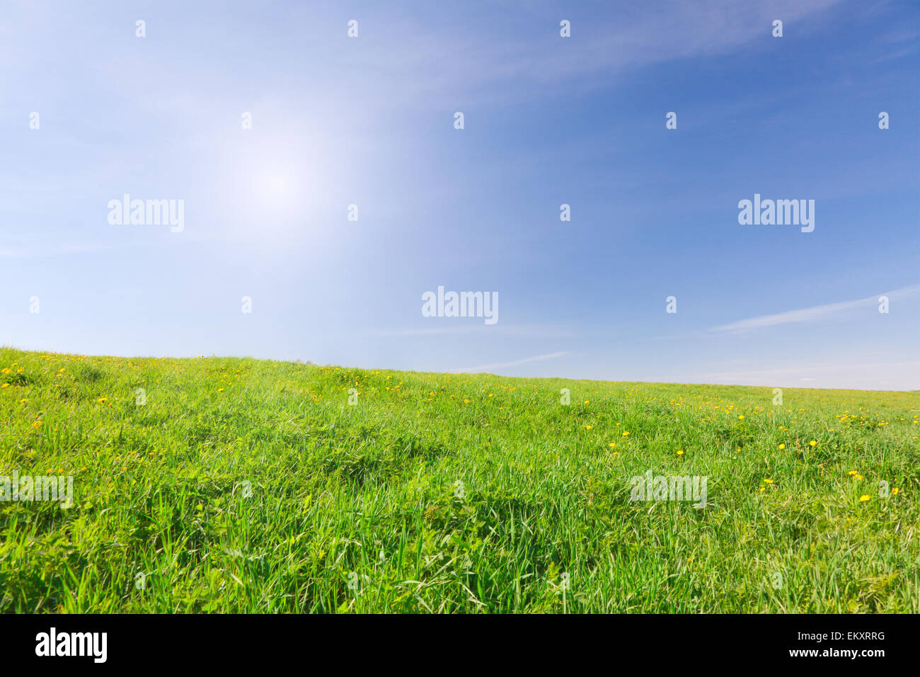 Green field under blue sky with sun Stock Photo - Alamy