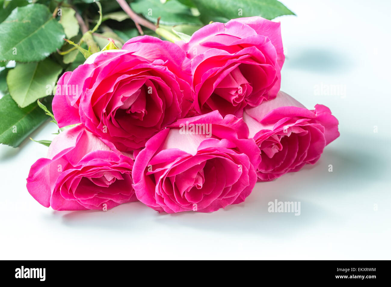 Bouquet of pink roses on white background Stock Photo - Alamy