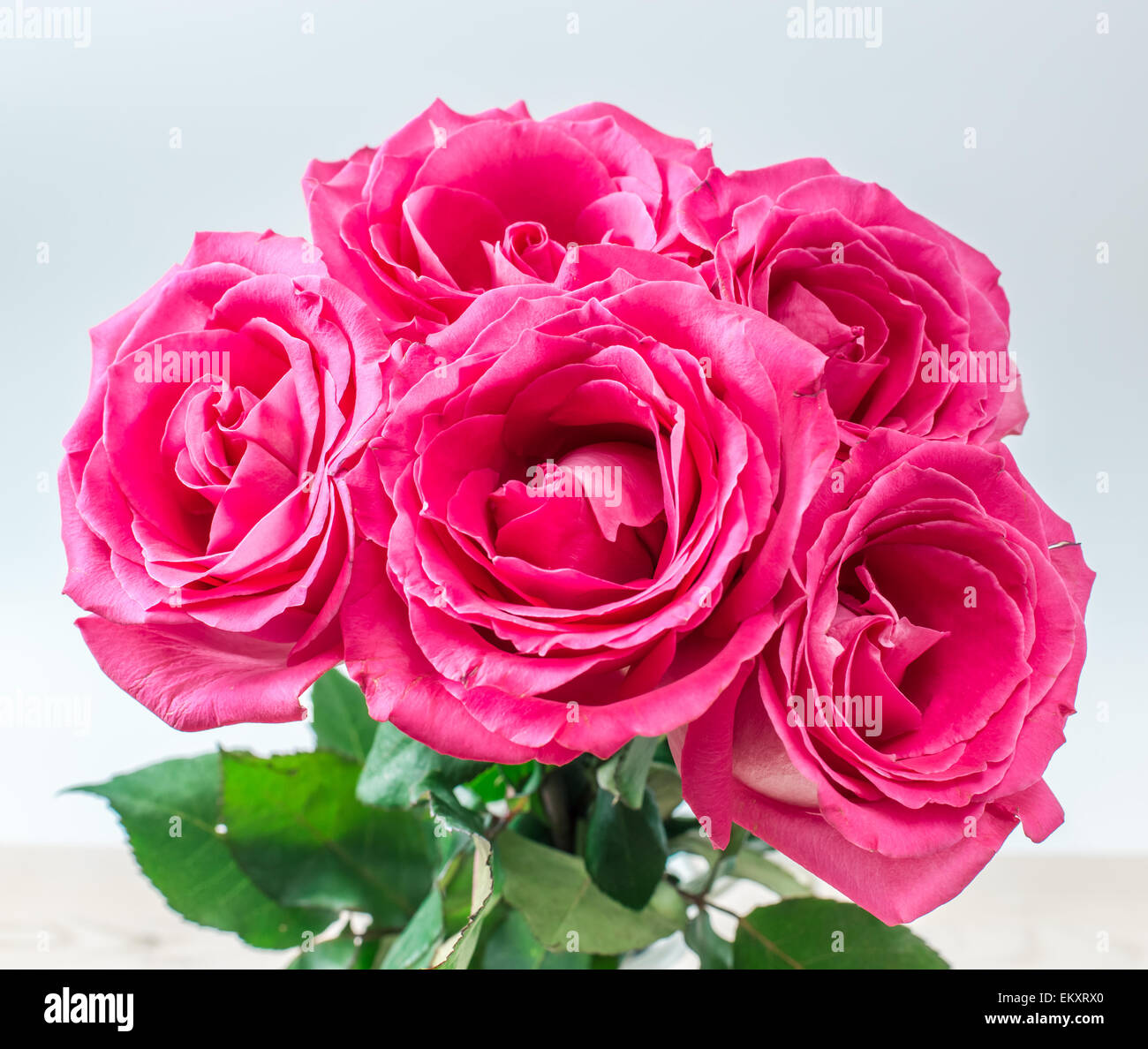 Bouquet of pink roses on white background Stock Photo - Alamy