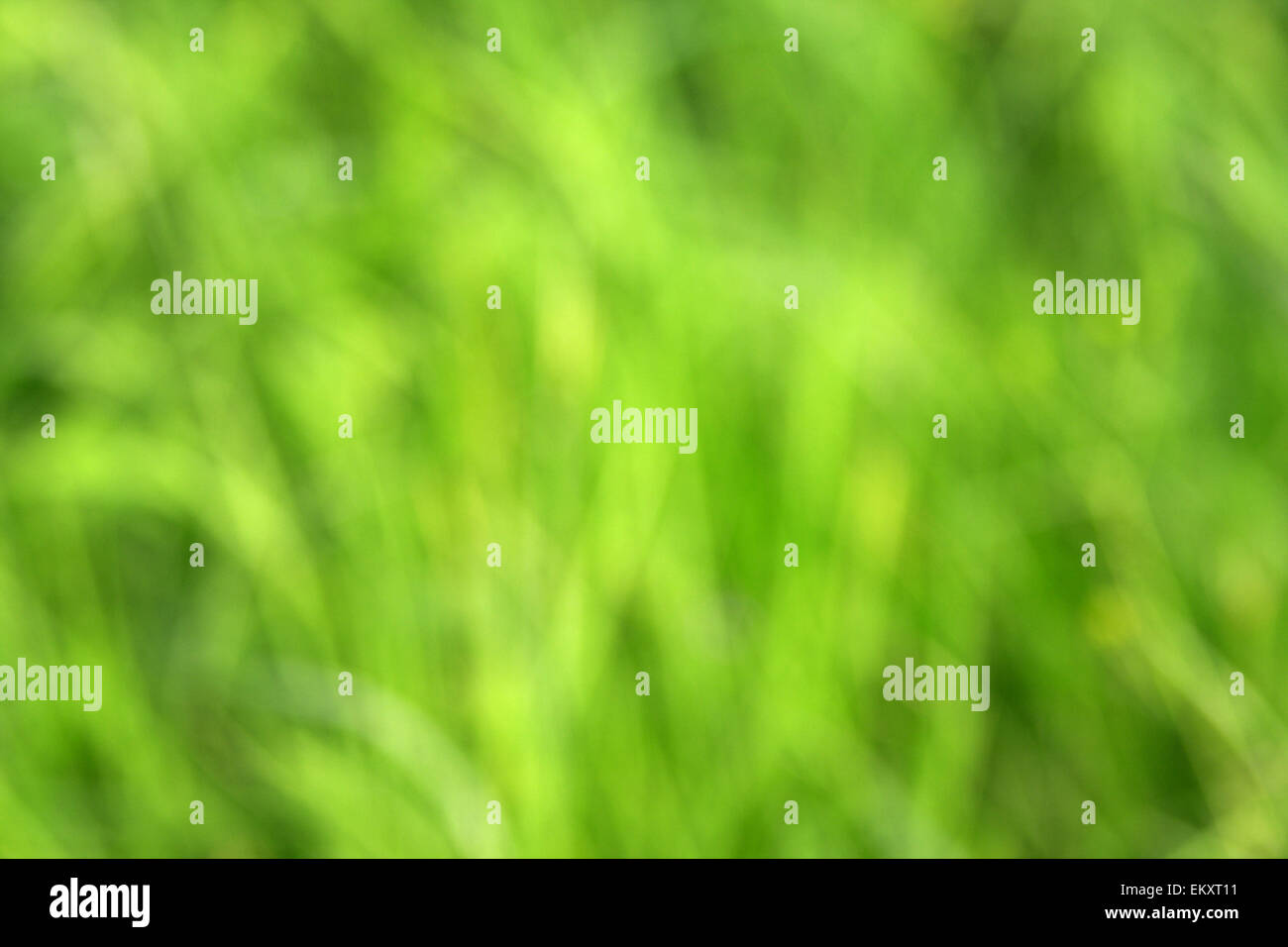 green grass background out of focus Stock Photo - Alamy