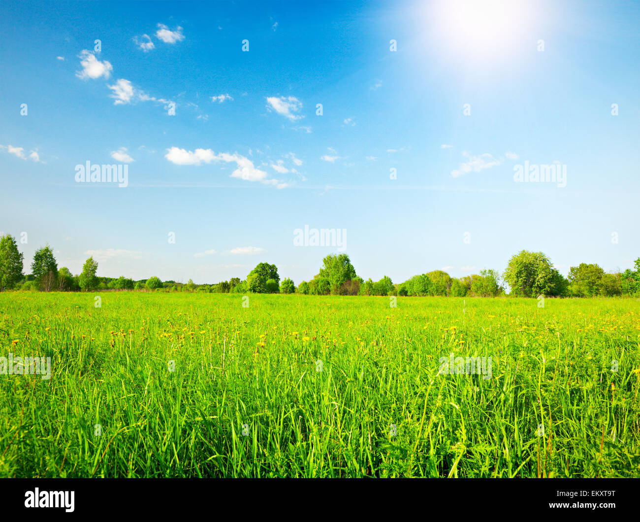 Green field under blue cloudy sky Stock Photo - Alamy