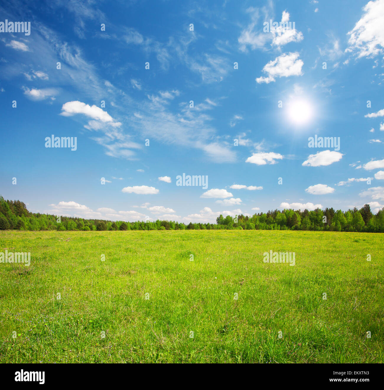 green field and blue cloudy sky Stock Photo - Alamy