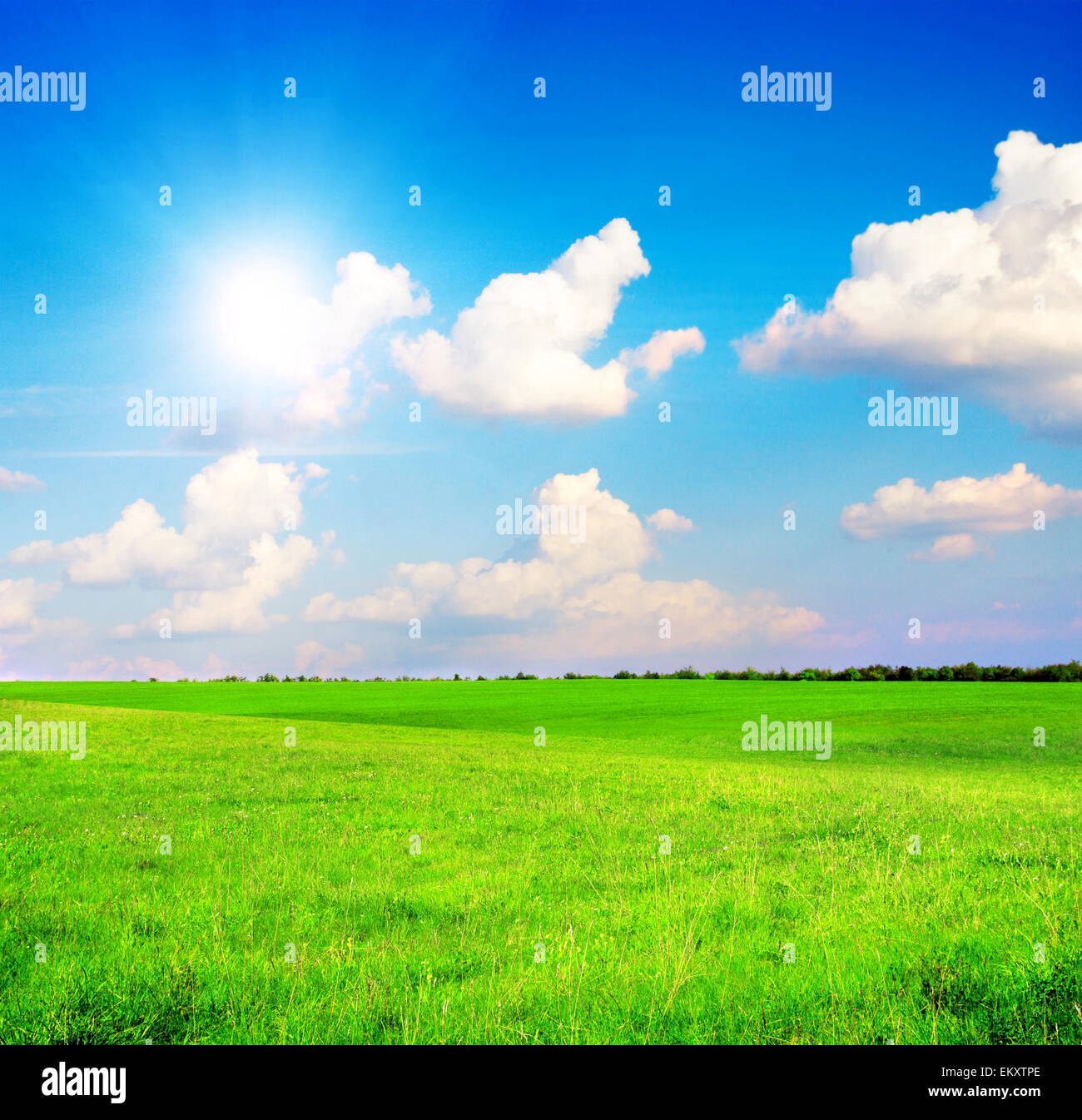 Green field under blue cloudy sky whit sun Stock Photo - Alamy