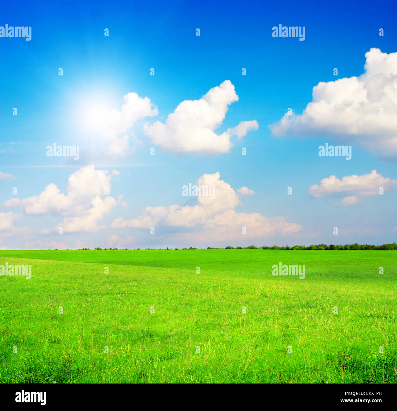 Green field under blue cloudy sky whit sun Stock Photo - Alamy