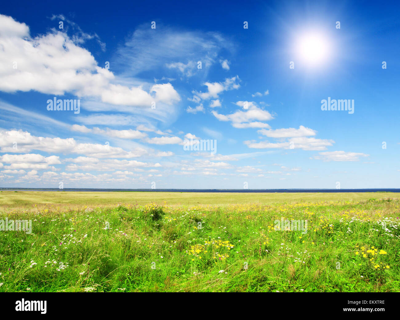 green field and blue sky with sun Stock Photo - Alamy
