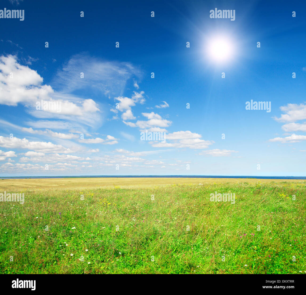 Green field under blue cloudy sky whit sun Stock Photo - Alamy