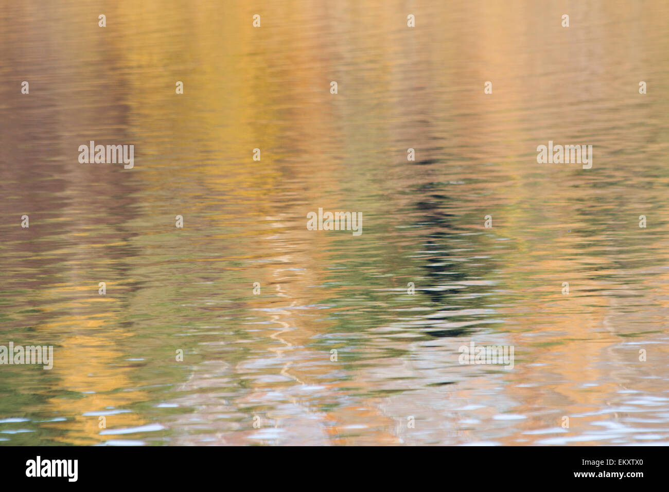 Reflection of autumn forest on water Stock Photo - Alamy
