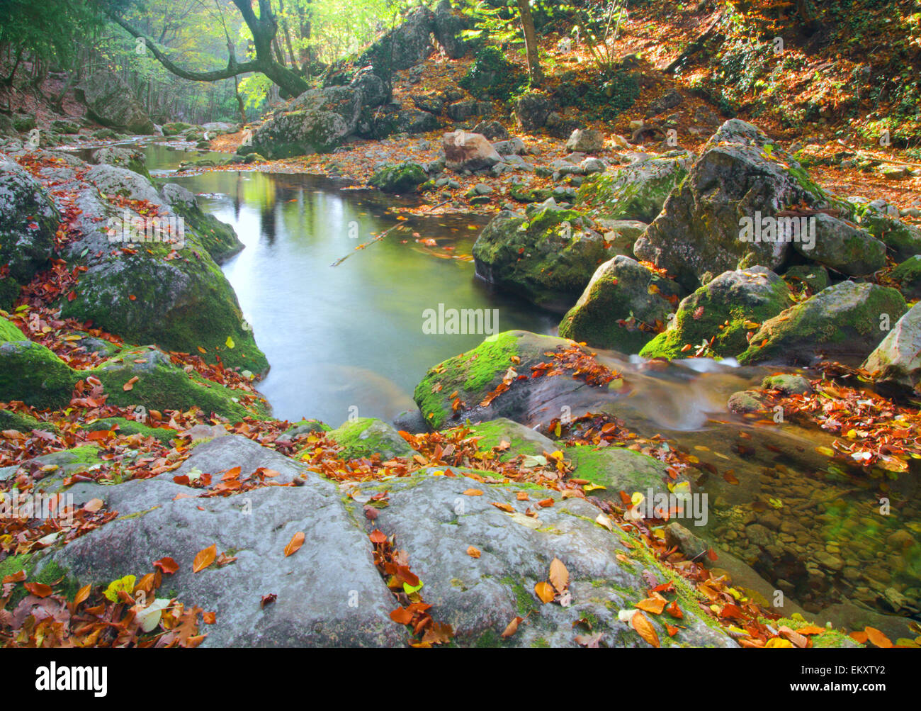 beautiful river in autumn forest Stock Photo
