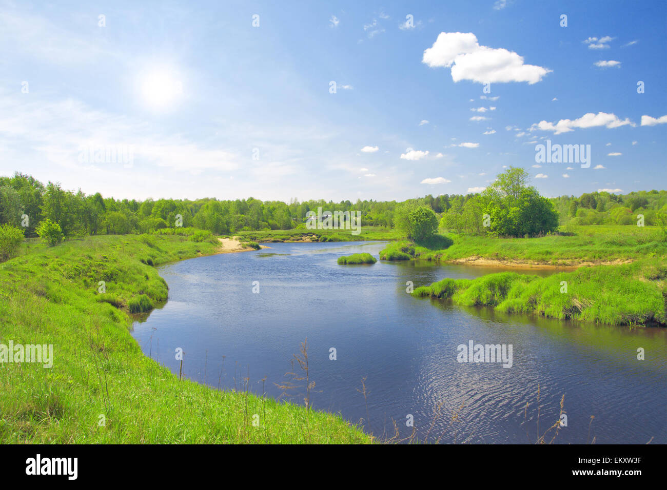 Meadow landscape in summer hi-res stock photography and images - Alamy