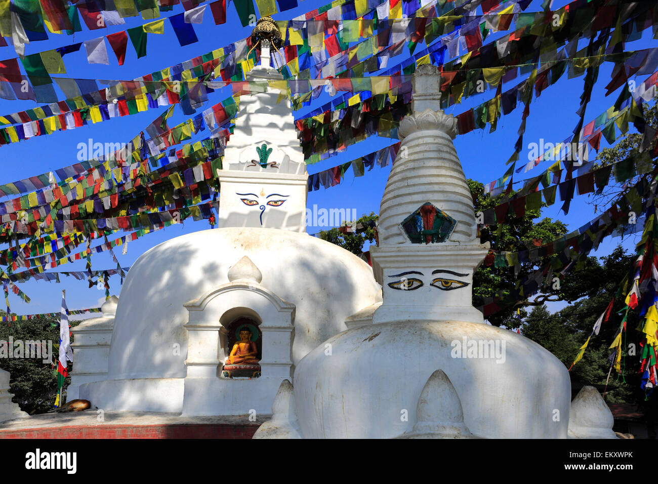 Image of Buddhist Stupas, Prayer Flags and Temples, Monkey Temple ...
