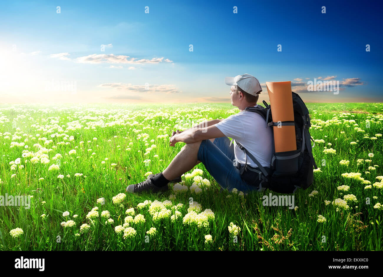 Tourist sitting on flower field at sunlight Stock Photo