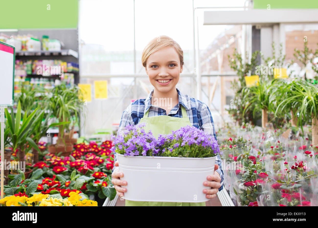 happy woman holding flowers in greenhouse Stock Photo - Alamy