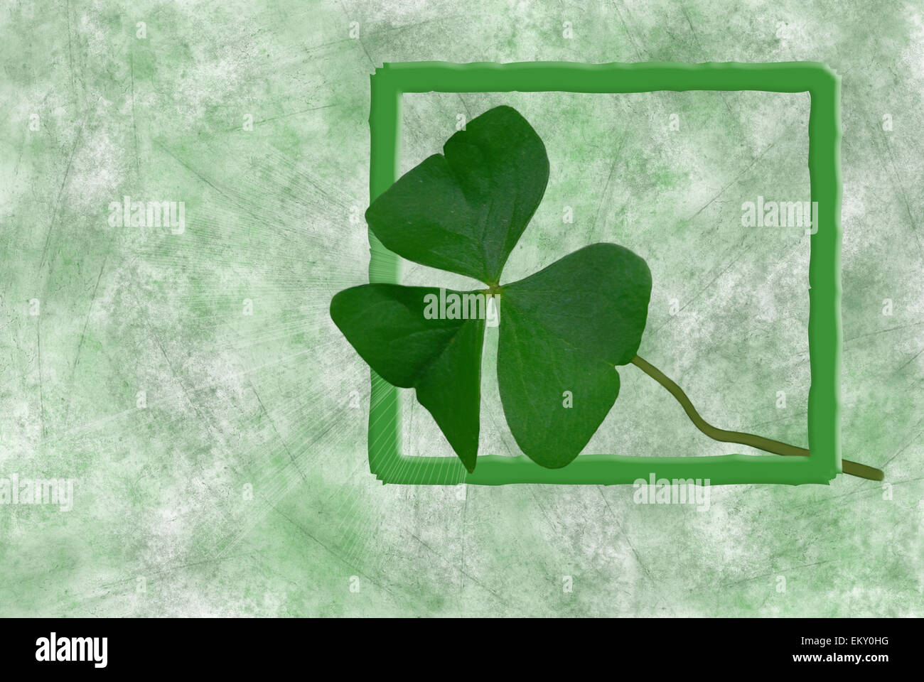 Irish shamrock in green frame with textured background. Stock Photo