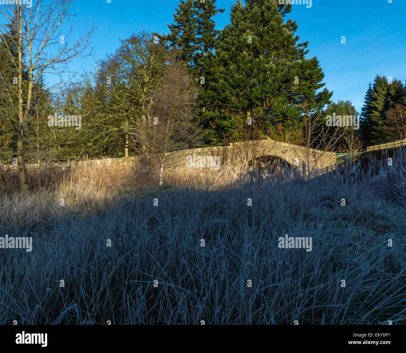 The Bridge of Dye, in Aberdeenshire, Scotland Stock Photo Alamy