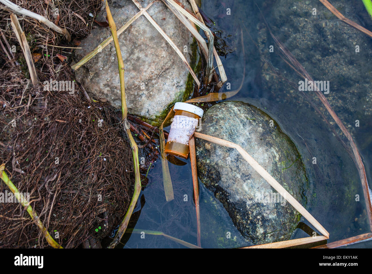 A discarded perscription bottle in the Los Angeles River after the first rain of the season, Glendale Narrows, Los Angeles, CA Stock Photo