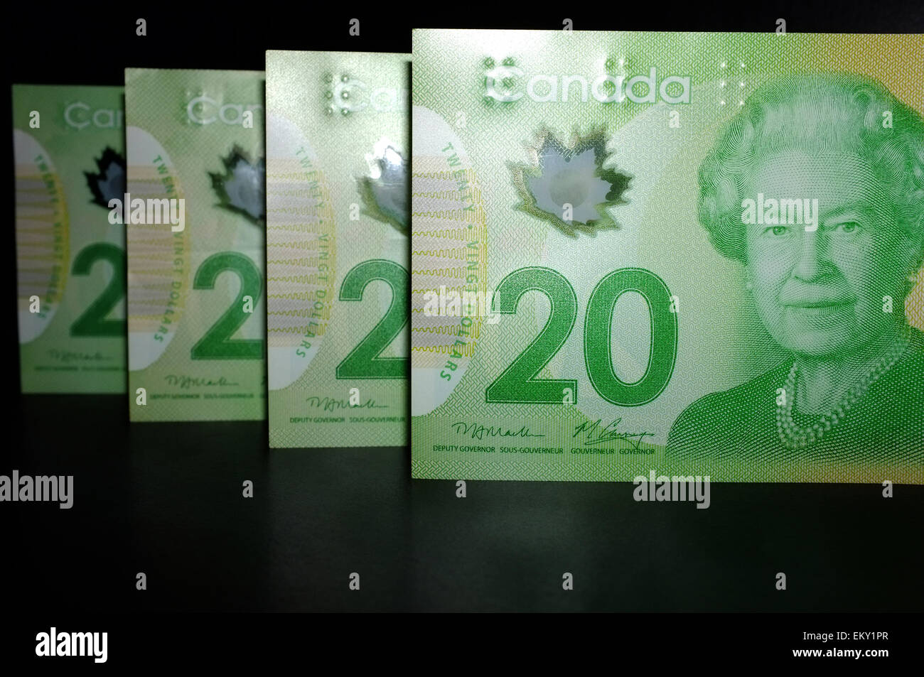 A row of Canadian $20 notes photographed against a black background ...