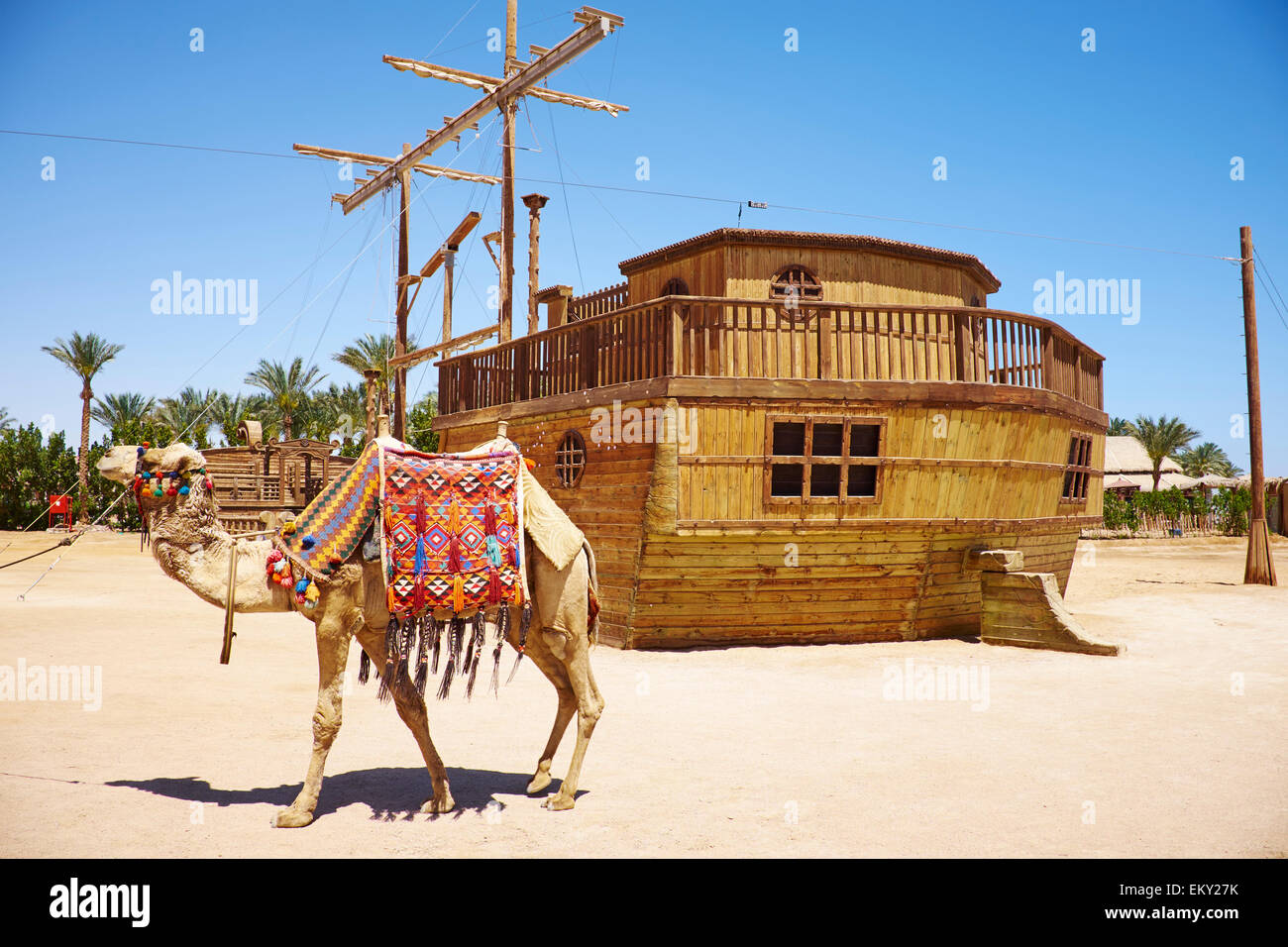 Camel Used For Tourists To Ride On Straits Of Tiran Red Sea Sharm El Sheikh Egypt Stock Photo