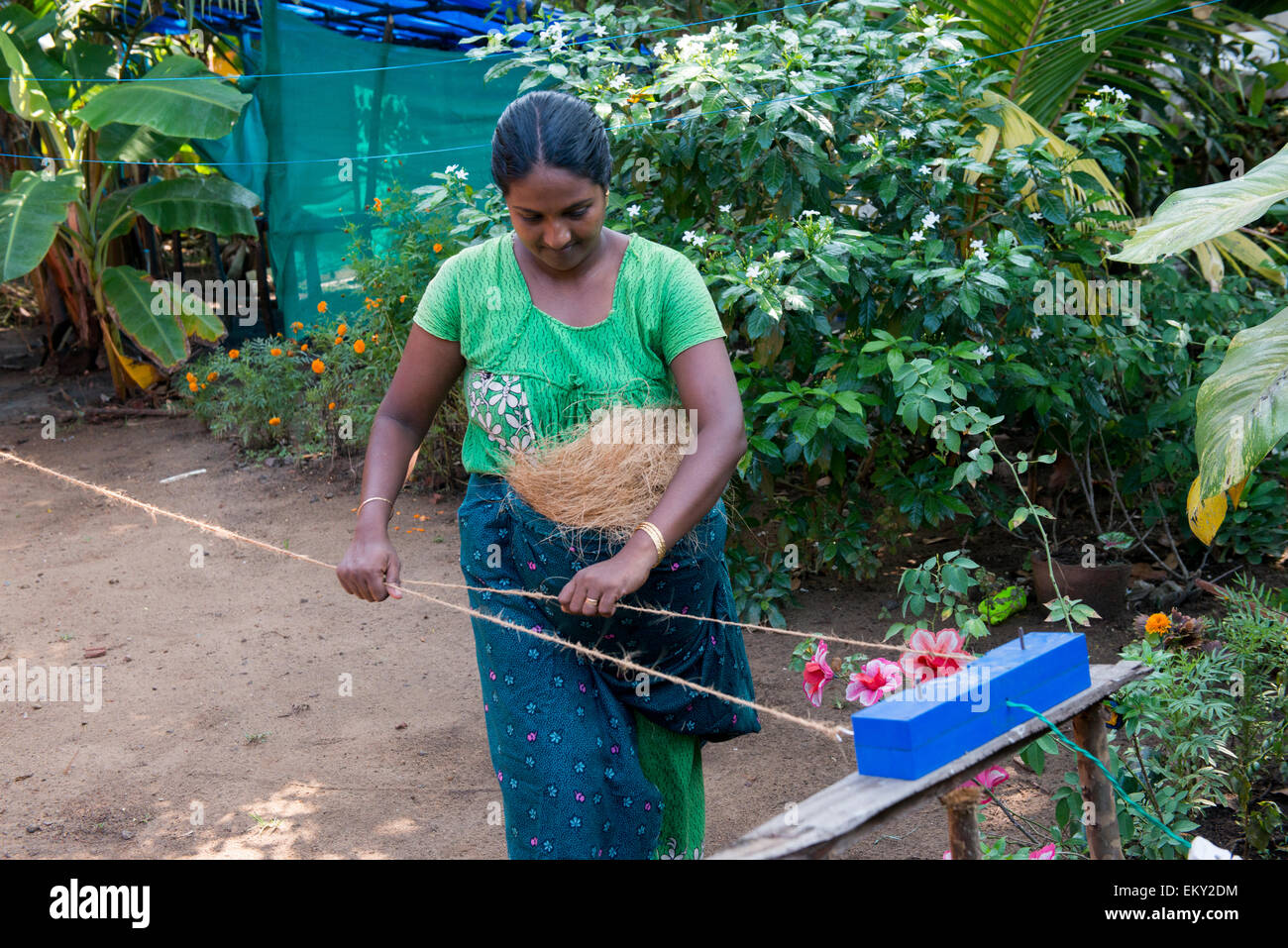 Young Indian woman demonstrating how to make rope from a coconut shell as part of an authentic village experience, Kerala India Stock Photo