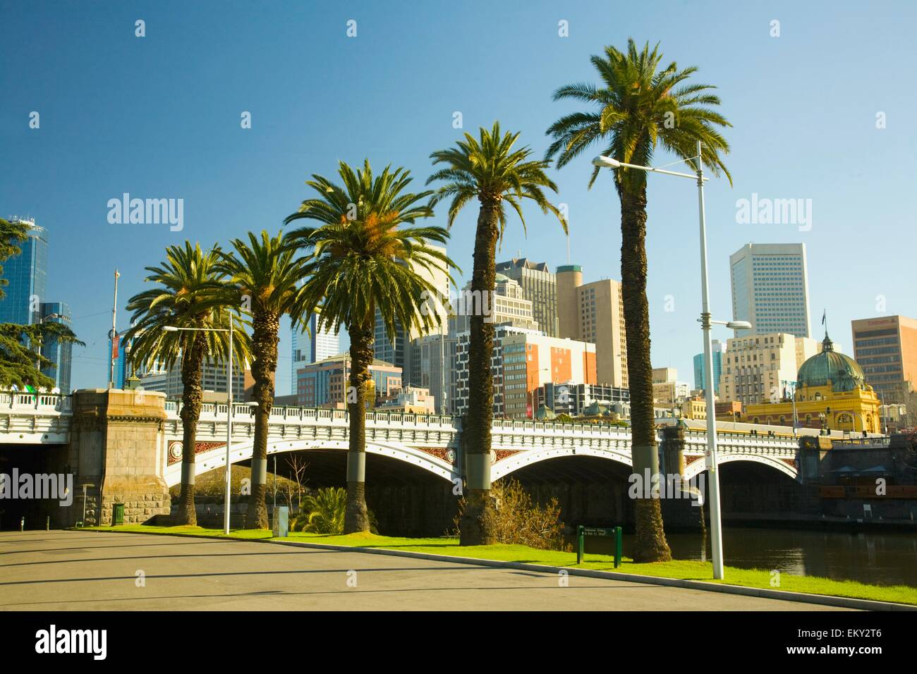 Palm Trees And The Melbourne Skyline; Melbourne, Australia Stock Photo
