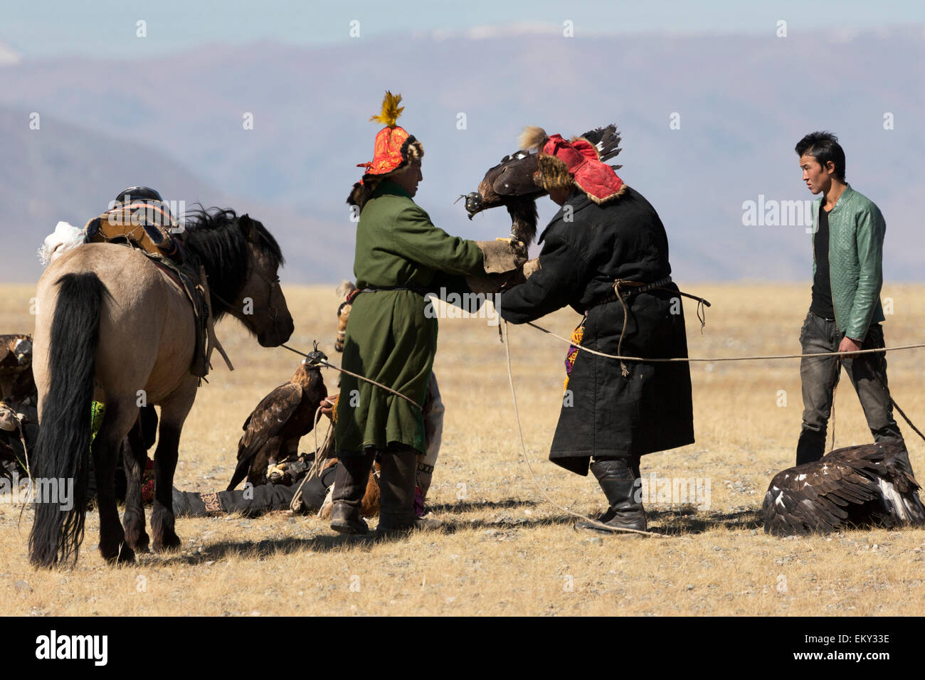 Mongolia Eagle hunters festival tradition horse Stock Photo