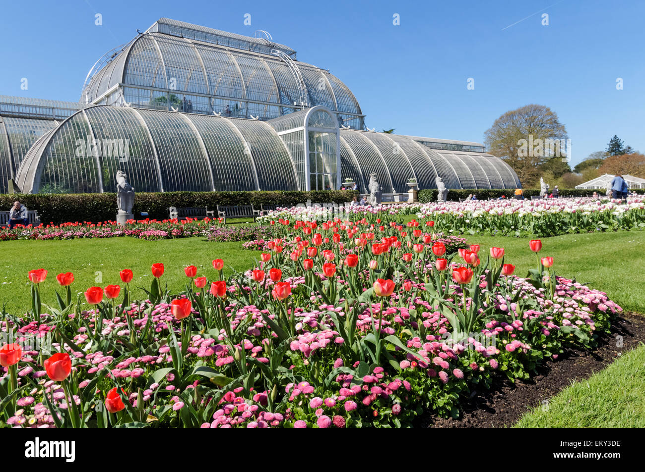 Blooming spring flowers in front of the Palm House at the Kew Gardens ...