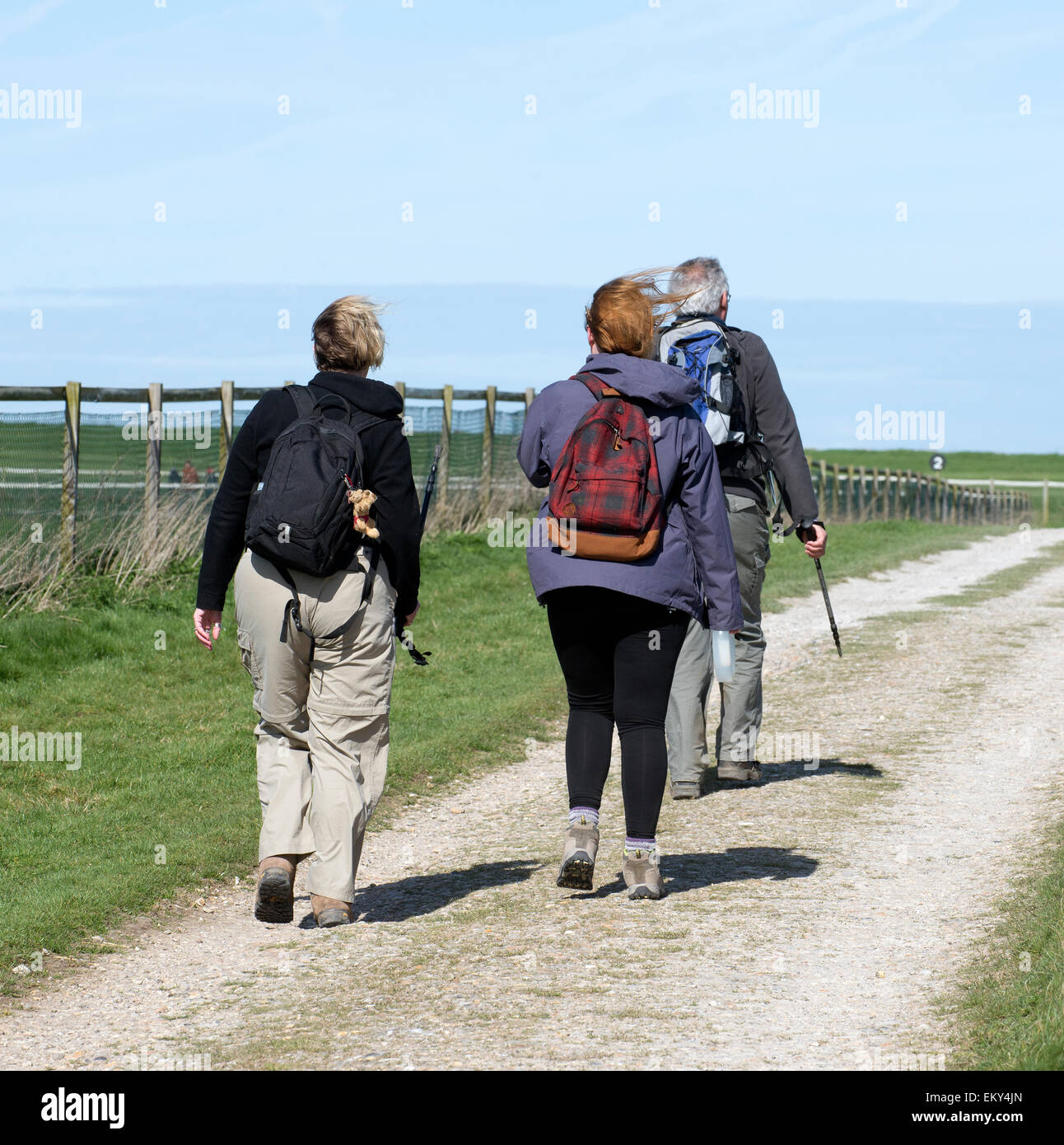 Hikers on the Wayfayers Walk in northern Hampshire England UK Passing the Gallops at Whitehill near Kingsclere Stock Photo