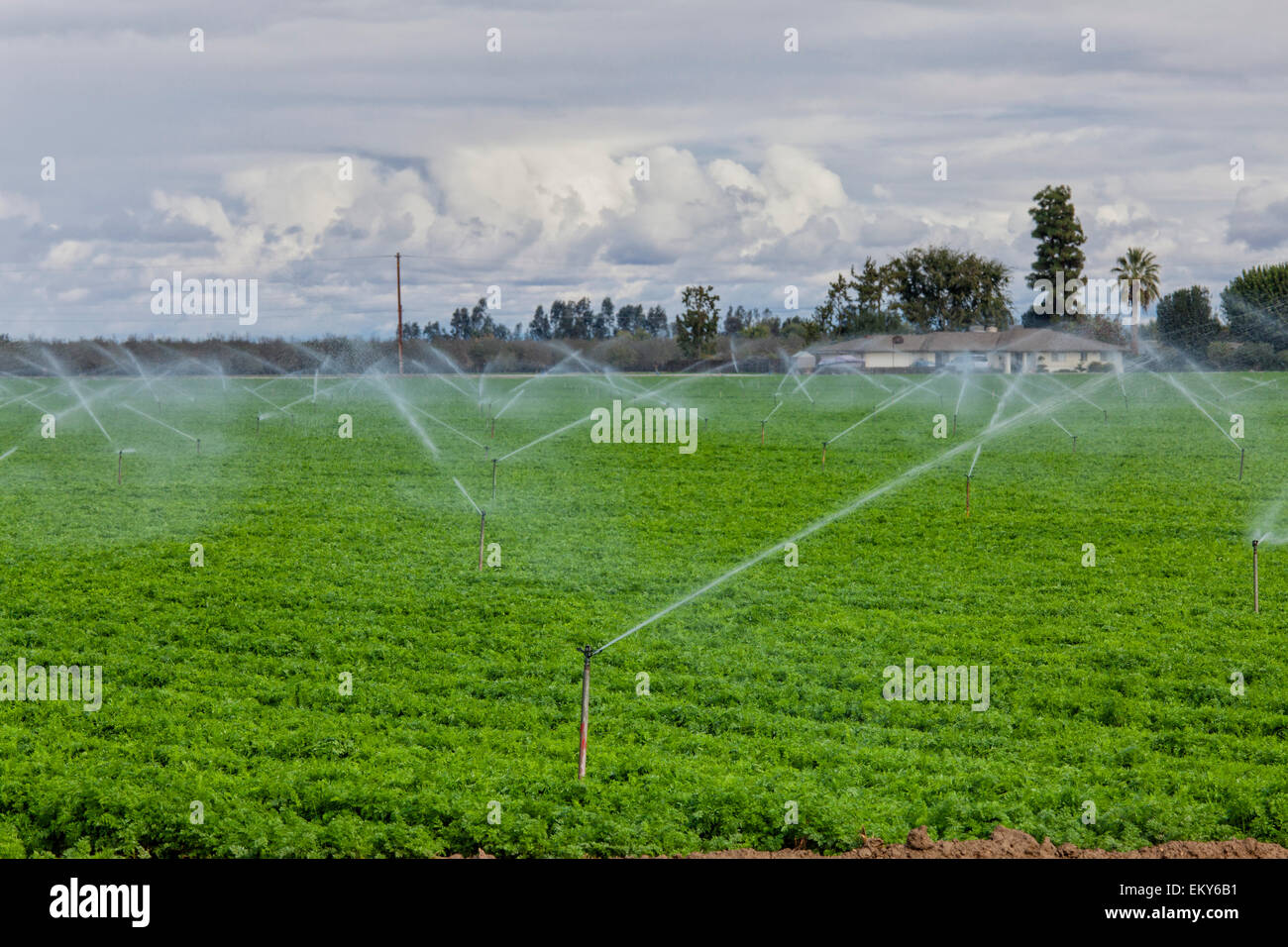 Agriculture usa sprinkler hi-res stock photography and images - Page 3 -  Alamy