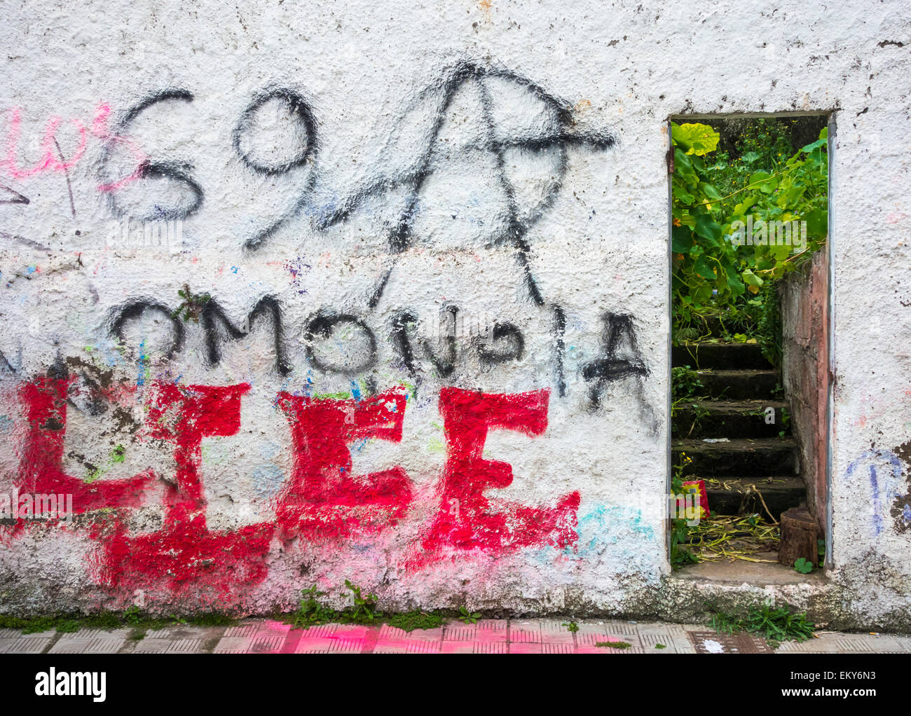 Graffiti on wall of derelict house in La Laguna on Tenerife, Canary Islands, Spain Stock Photo