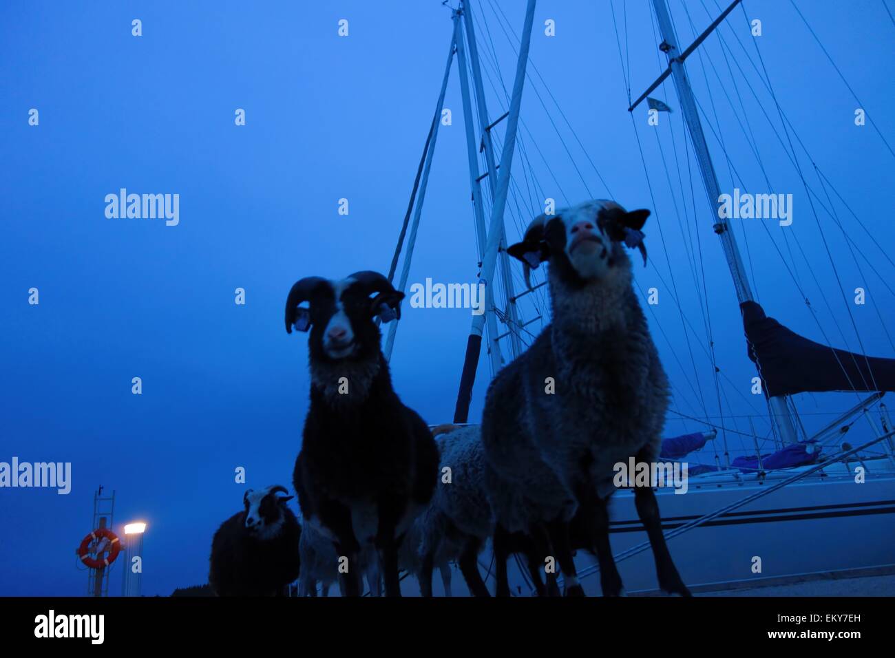 Bocks on the dock Stock Photo