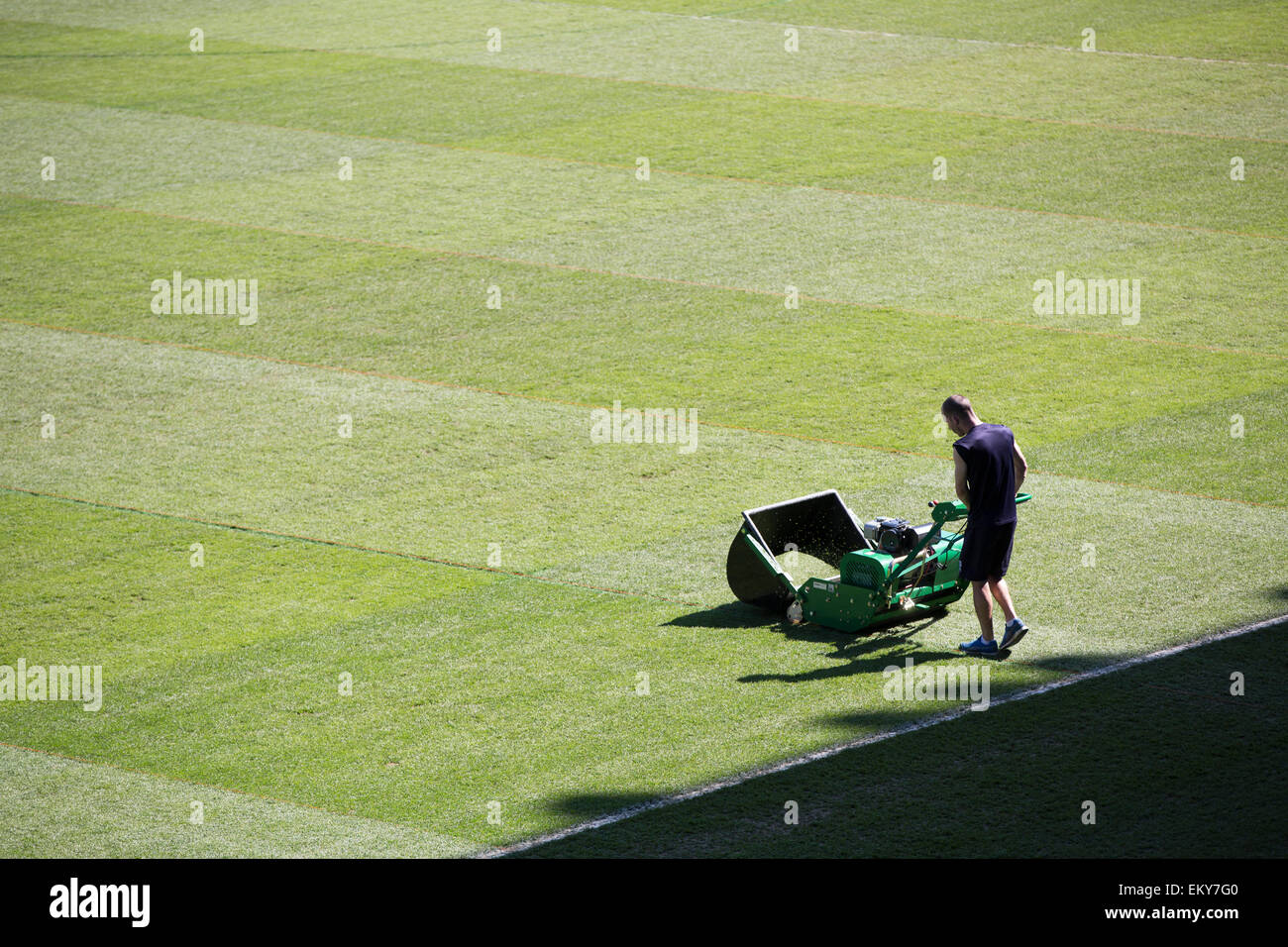 Groundsman cutting the grass in football stadium with traditional mower