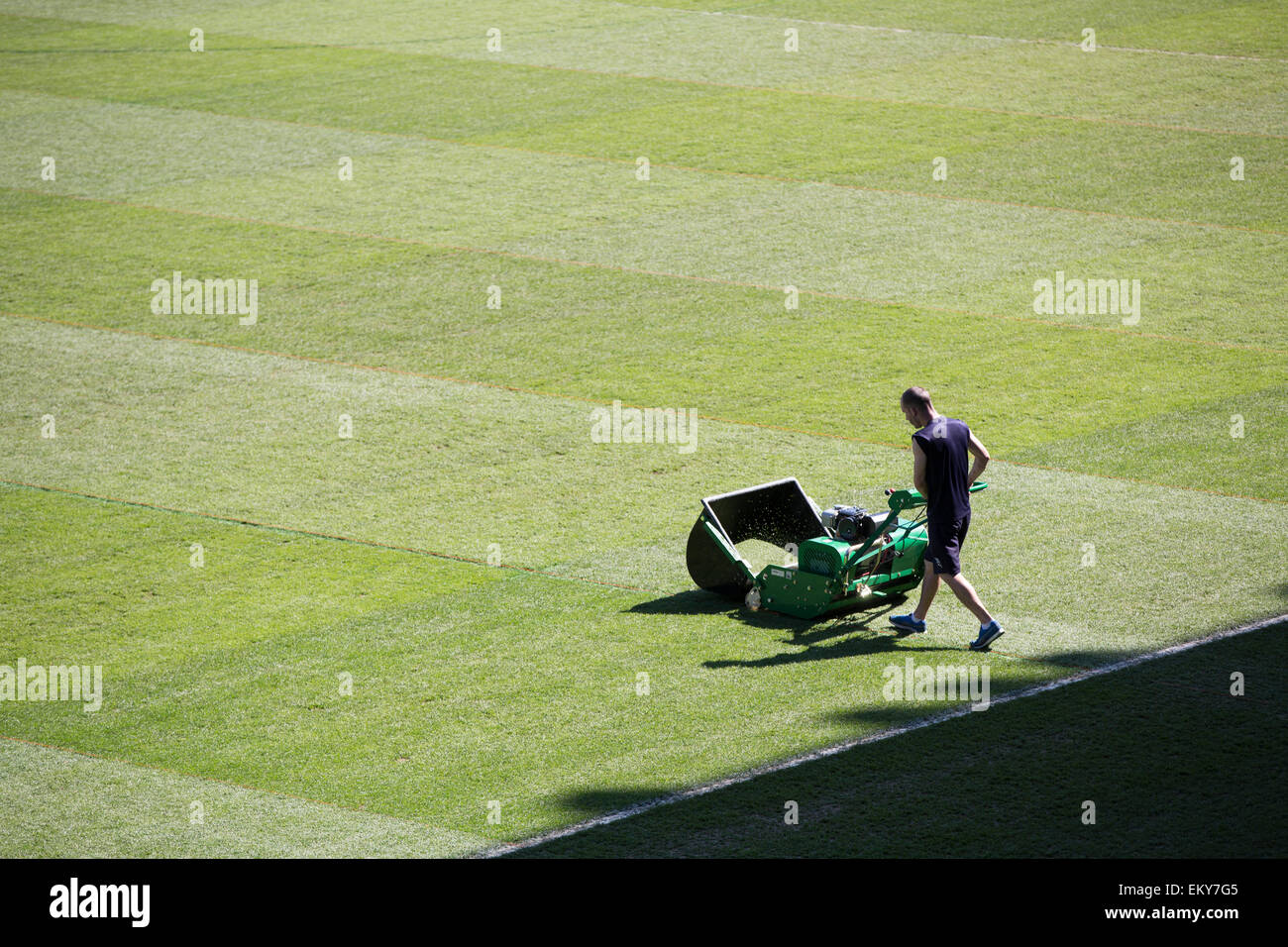 Groundsman cutting the grass in football stadium with traditional mower Stock Photo