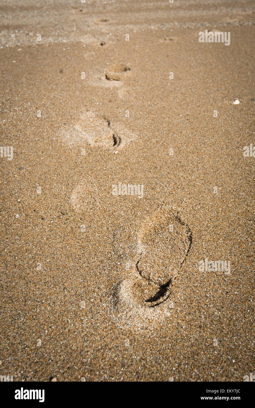 Footprints in sand on beach. Stock Photo