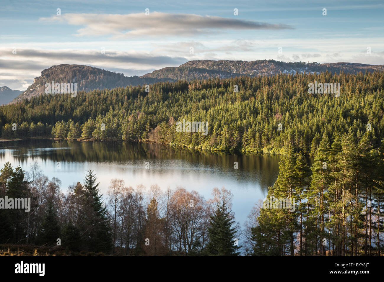Loch Farr in the Scottish Highlands Stock Photo Alamy