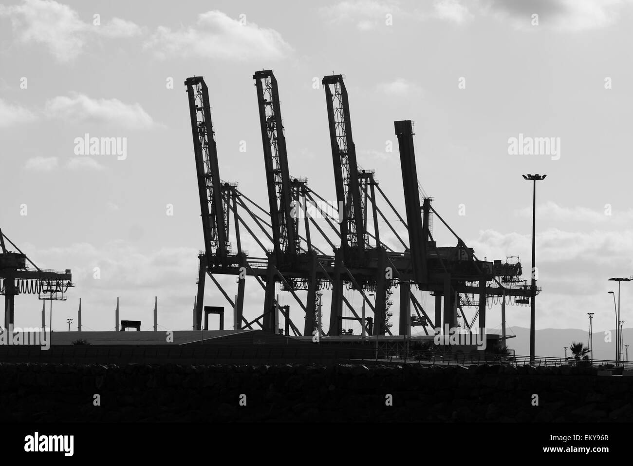 Container terminal cranes, port, Barcelona, Catalonia, Spain, August 2014 Stock Photo