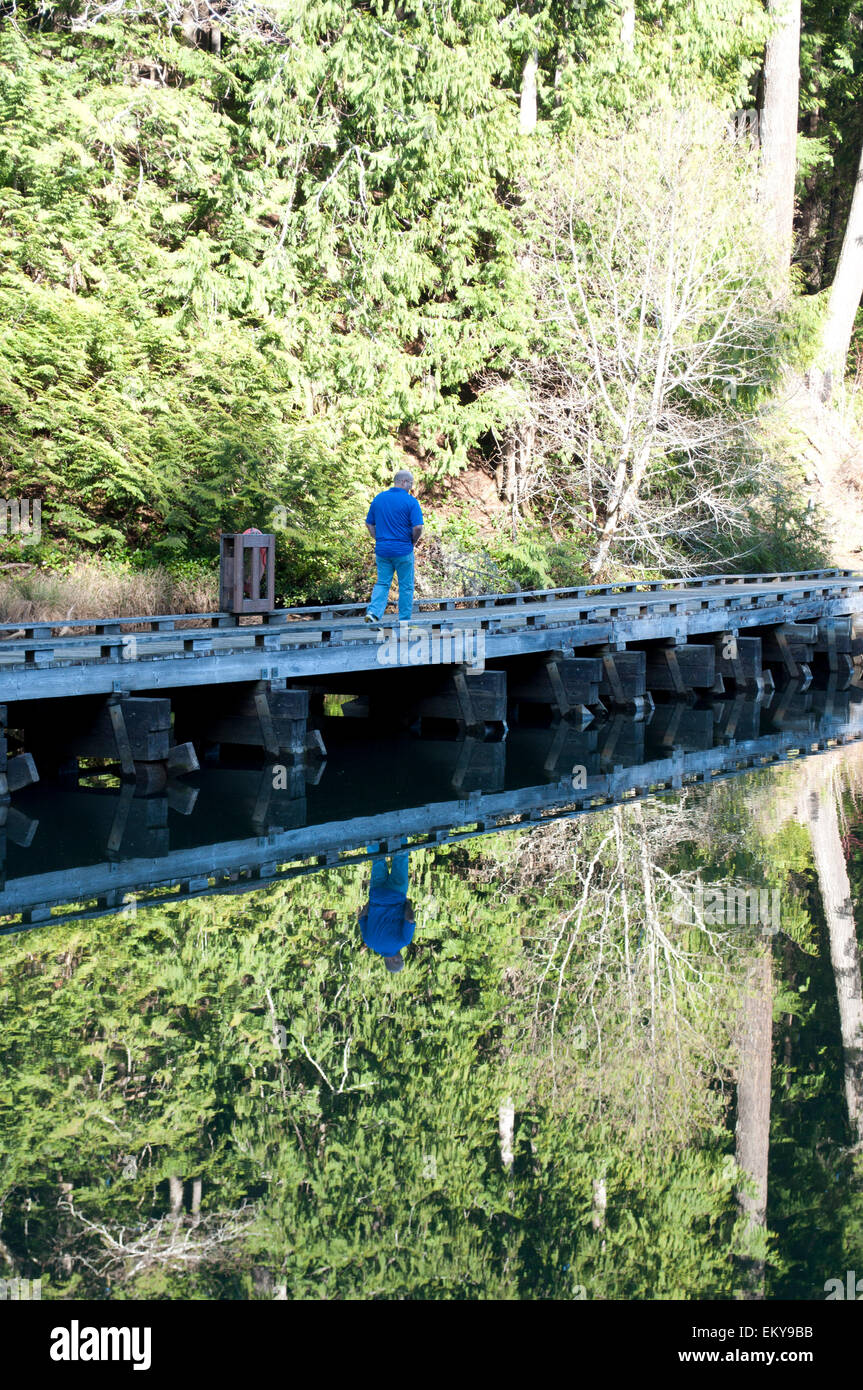 Man walking on pathway at Lake Sylvia State Park, Montesano, Grays Harbor County, WA, USA Stock