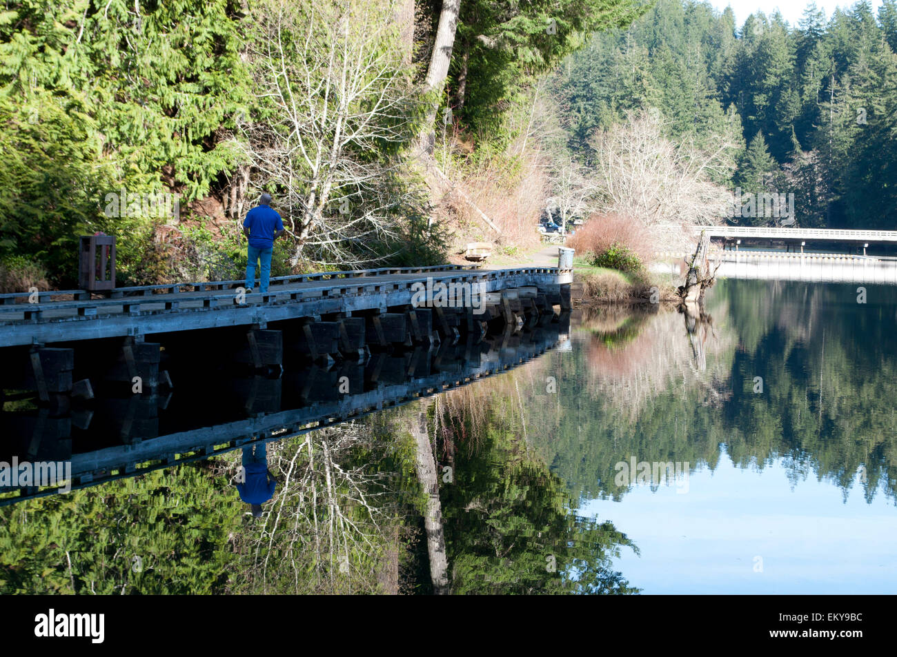 Man walking on pathway at Lake Sylvia State Park, Montesano, Grays Harbor County, WA, USA Stock