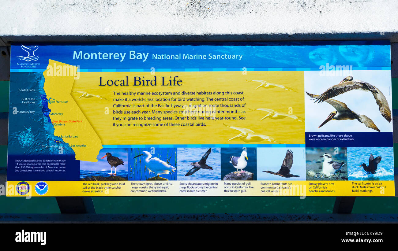 Interpretive sign on the San Simeon Pier, Hearst San Simeon State Park