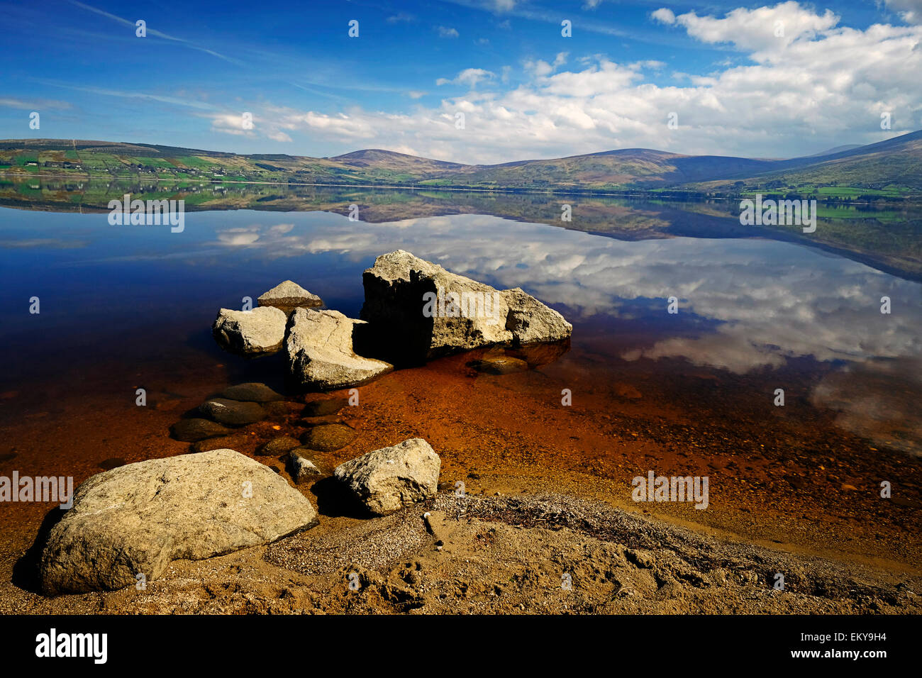 Blessington lakes Co. Wicklow Ireland Stock Photo Alamy